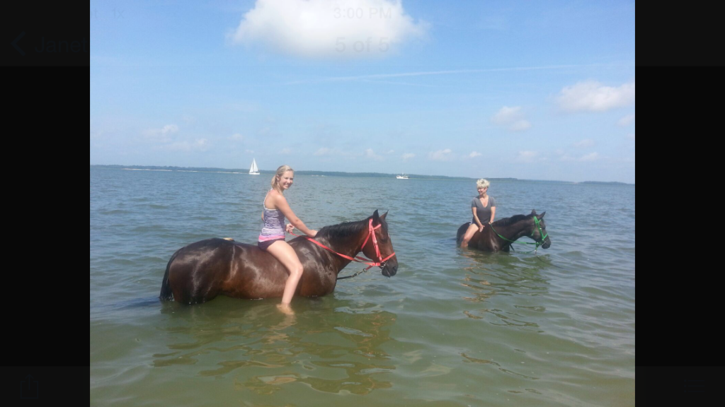 Thankfully, we found friendlier friends--horses that swim!