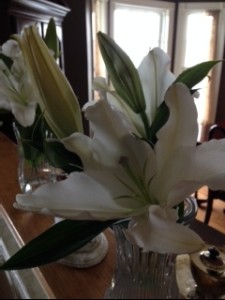 lilies